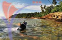 Perhentian Besar Island