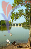 Taman Wetland - Putrajaya