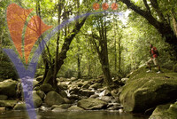 Taman Negara Gunung Gading