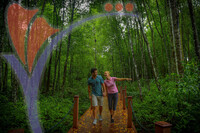 Matang Mangrove