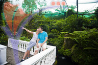 Kuala Lumpur Bird Park - Kuala Lumpur