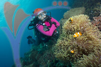 Tioman Island - Pahang