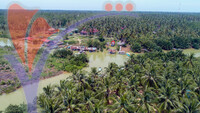 Pulau Suri Floating Market