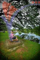 Taiping Lake Garden