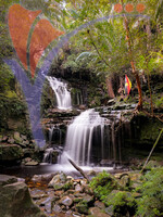 Waterfall - Nature