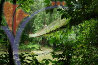 Danum Valley