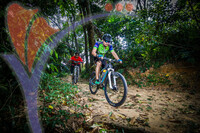 Taman Cabaran