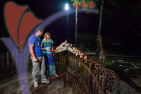 Night Safari Zoo Taiping , Perak