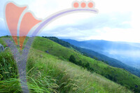 Bukit Broga