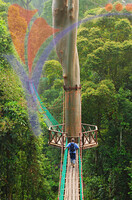 Danum Valley