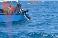The Royal Pahang Billfish International Challenge