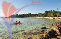 Kapas Island