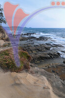 Tip of Borneo Kudat, Sabah
