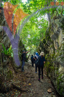 Paku Rock Maze Garden