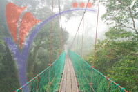 Danum Valley