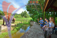 Lok Kawi Zoo