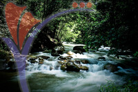 Sungai Chiling