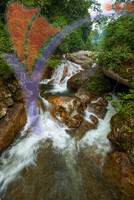 Lata Jarum,raub, Pahang
