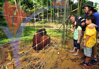 Pulau Orang Utan - Bukit Merah - Perak