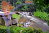 Pangsun, Selangor