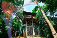 Canopy Walk Guar Chenderai , Perlis