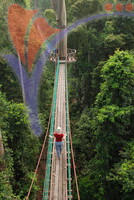 Danum Valley
