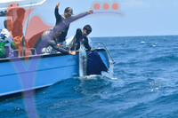 The Royal Pahang Billfish International Challenge