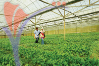 Xenxin Organic Farm