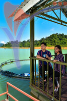 Tasik Pedu