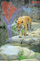 Melaka Zoo