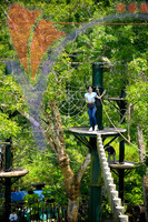 Theme Parks
