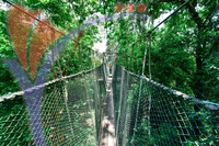 Canopy Walk Guar Chenderai , Perlis