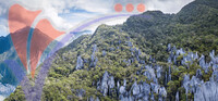 Pinnacles in Gunung Mulu National Park Borneo Malasia.
