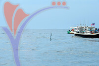 The Royal Pahang Billfish International Challenge