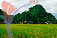 Kampung Ujung Bukit , Perlis