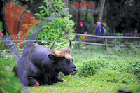Melaka Zoo