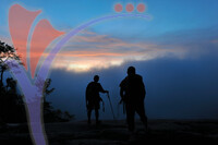 Gunung Stong