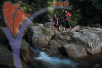Gunung Stong