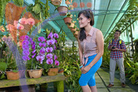 Orchid Garden