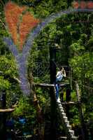 Theme Parks