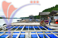 Oyster Farm