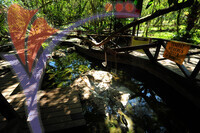 Hot Springs Sungai Klah - Trolak - Perak