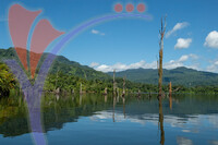 Bengoh Dam Scenery, Boat Riding And Nature Hiking
