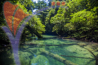 Crystal Water in Melinau River,gunung Mulu