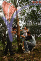 Kampung Temenim Homestay - Johor