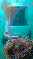 Sea Walking