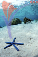 Mataking Island - Sabah