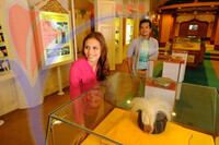 Muzium Diraja Kedah