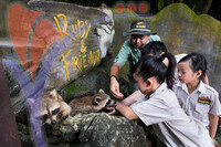 Lost World of Tambun - Ipoh, Perak