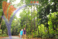 Botanical Garden